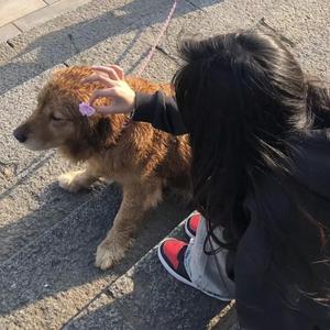 沟厕toilet丅ube美女
